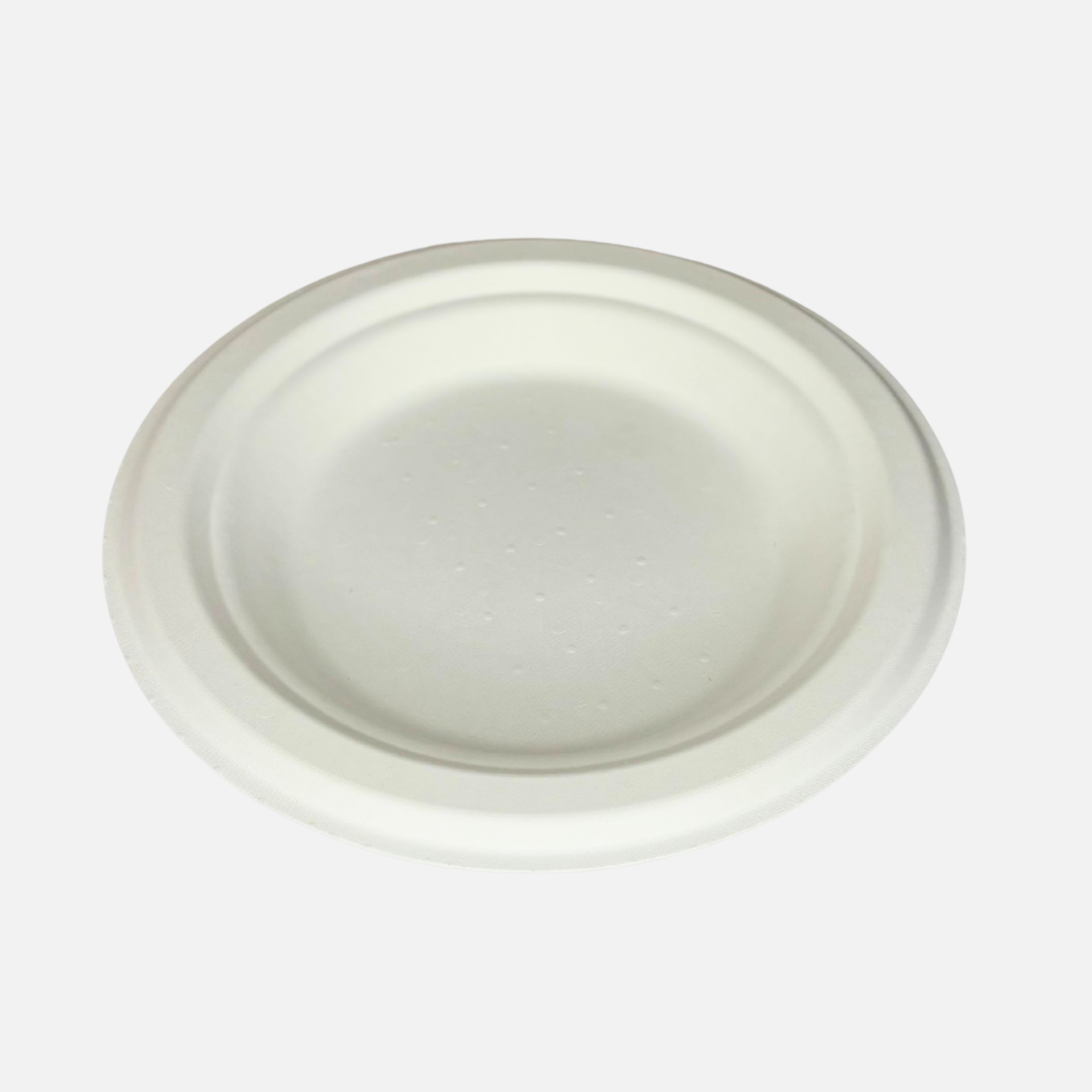 6 INCH PLATE