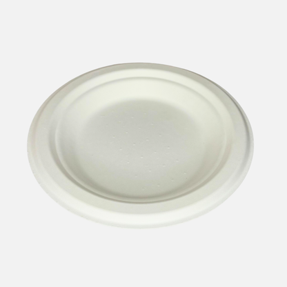 6 INCH PLATE