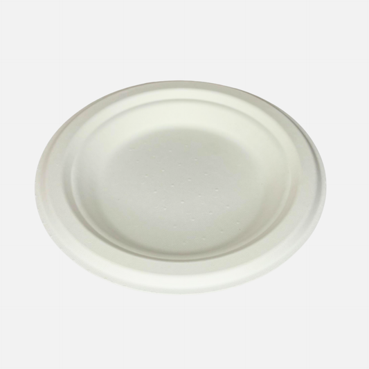 6 INCH PLATE