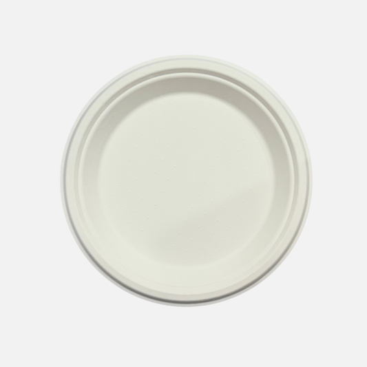 10 INCH PLATE