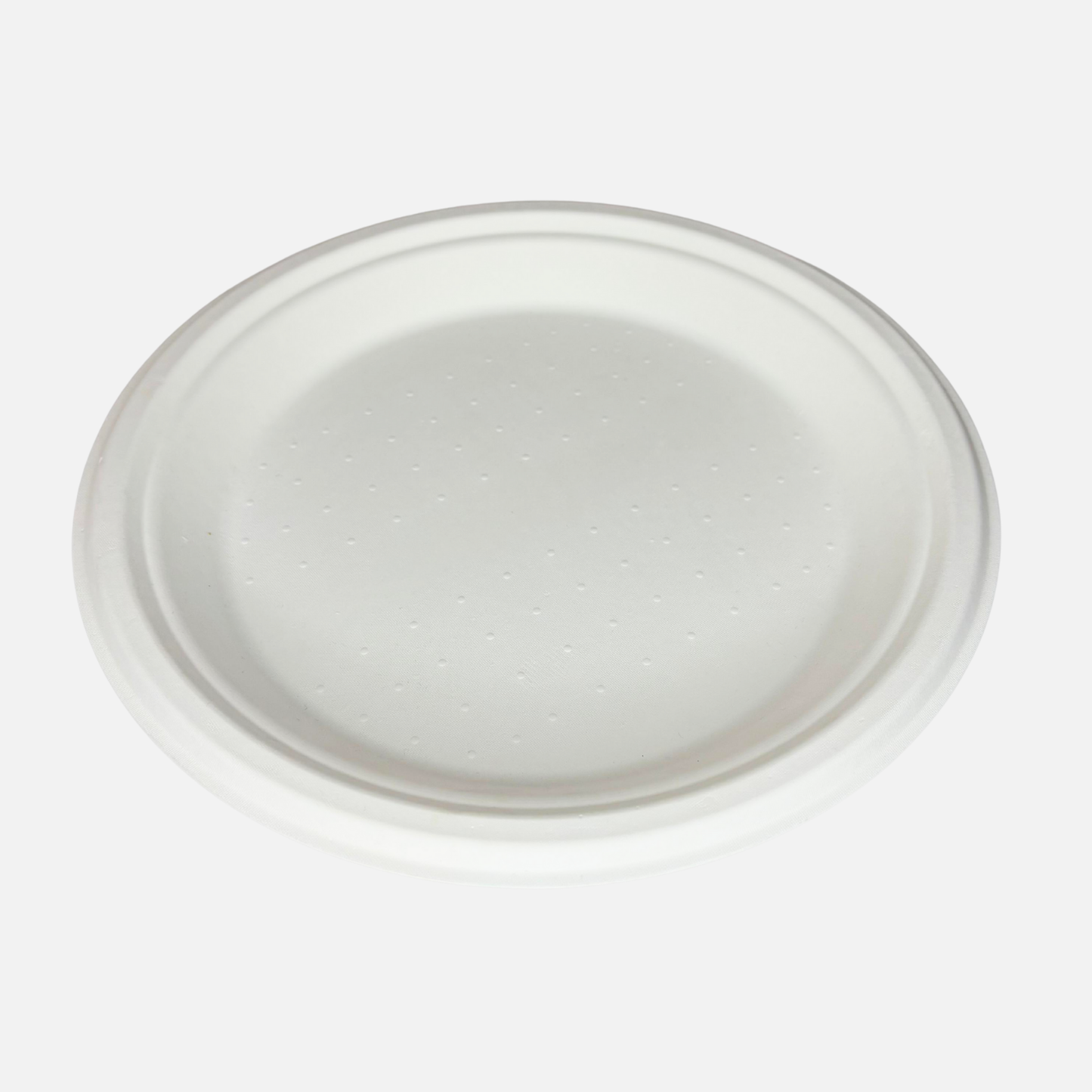 6 INCH PLATE