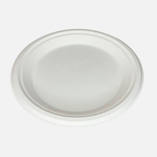 10 INCH PLATE