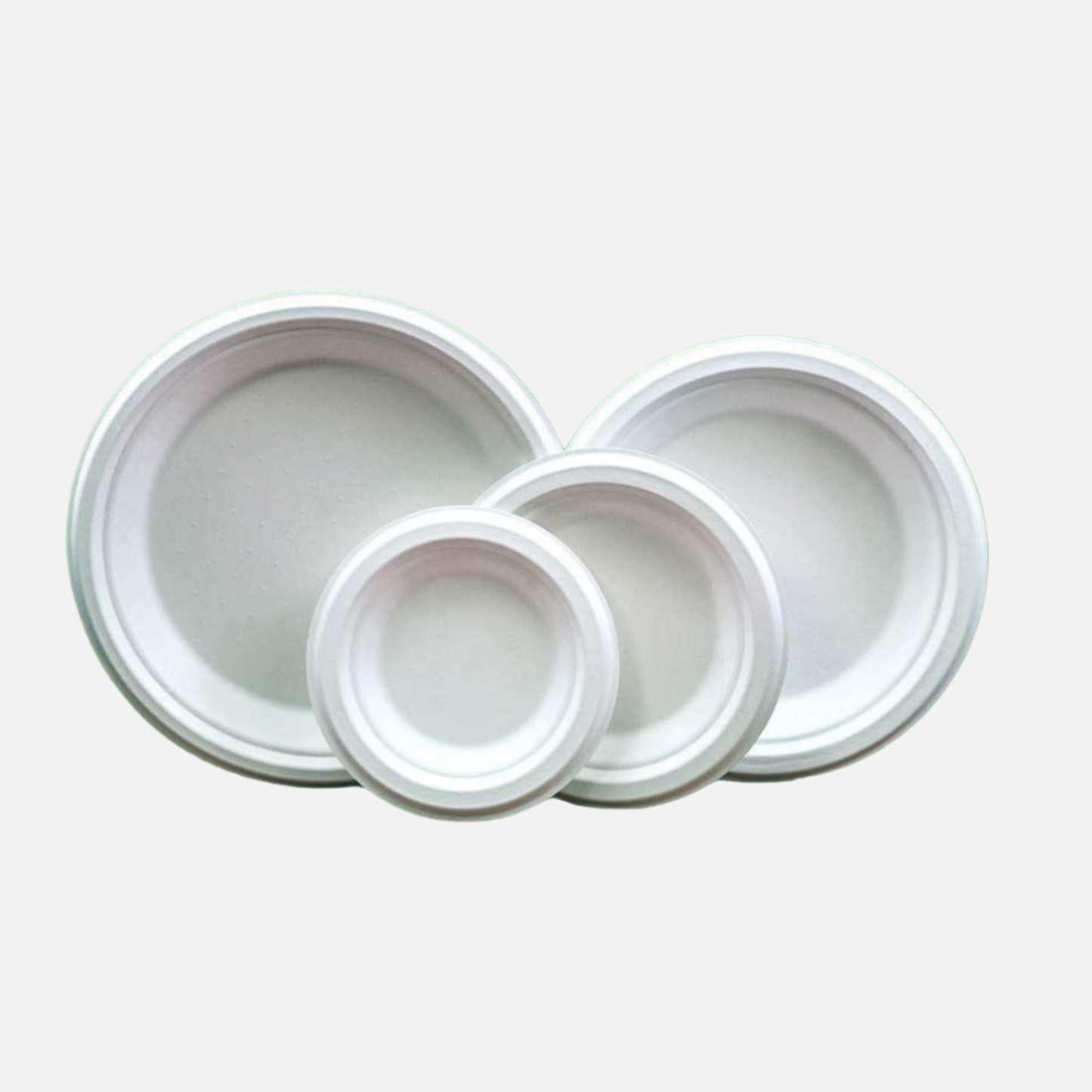 6 INCH PLATE